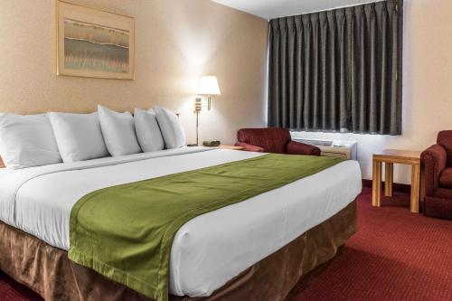 Econo Lodge Arena - image 3