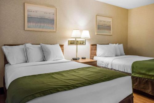 Econo Lodge Arena - image 7