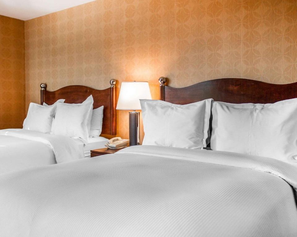 The Woodlands Inn Ascend Hotel Collection - image 3