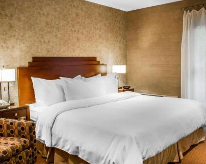 The Woodlands Inn Ascend Hotel Collection - image 5