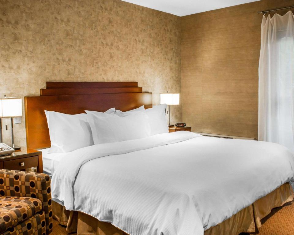 The Woodlands Inn Ascend Hotel Collection - image 5