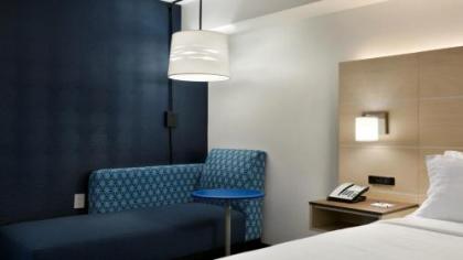 Holiday Inn Express - Williamsburg Busch Gardens Area an IHG Hotel - image 3