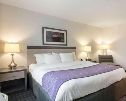 Comfort Inn Williamsburg Gateway - image 5