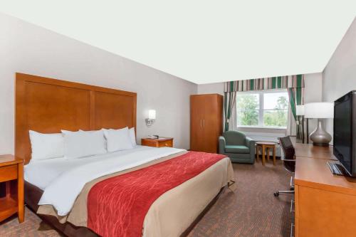 Days Inn by Wyndham Williamsburg Historic Area - image 5