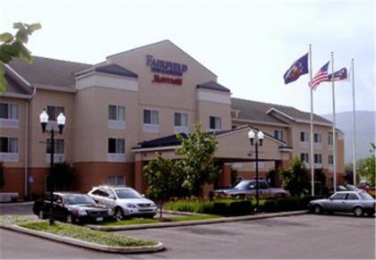 Fairfield Inn and Suites by Marriott Williamsport - image 2