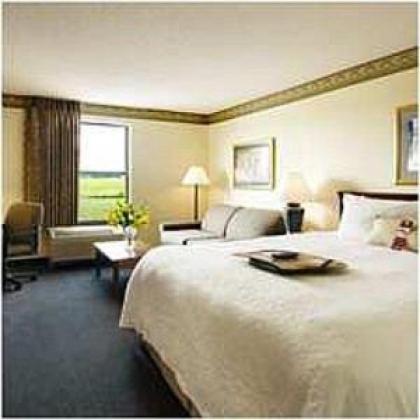 Hampton Inn Williamston - image 13