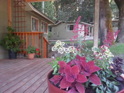 China Creek Cottages Willow Creek California