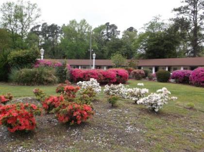 Azalea Inn & Suites - image 1