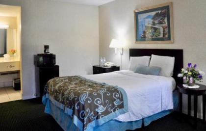 Azalea Inn & Suites - image 2