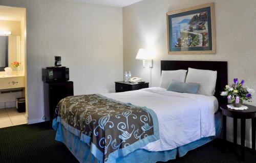 Azalea Inn & Suites - image 2