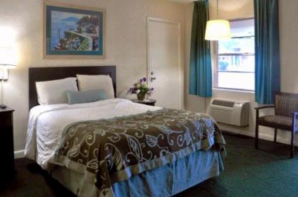 Azalea Inn & Suites - image 3