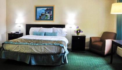 Azalea Inn & Suites - image 5