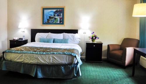 Azalea Inn & Suites - image 5