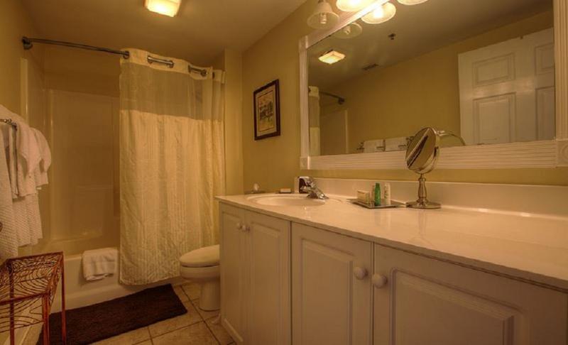 Riverview Suites at Water Street Center - image 4