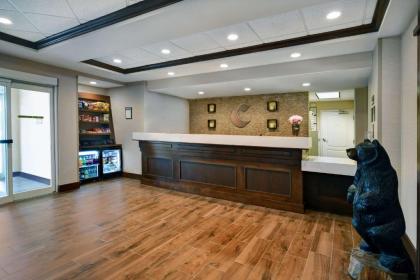 Comfort Inn & Suites Wilton - image 5