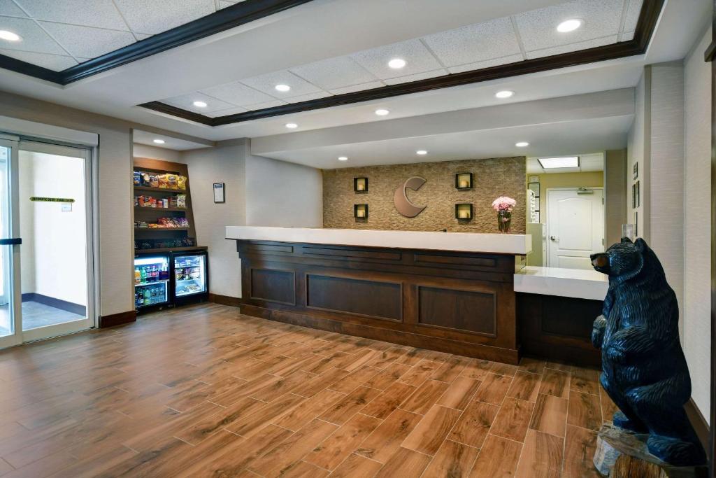 Comfort Inn & Suites Wilton - image 5