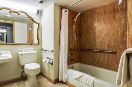 Quality Inn & Suites Winfield - image 11