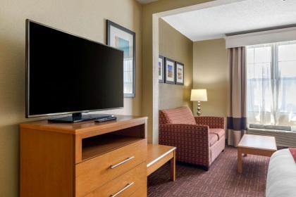 Comfort Suites Hanes Mall - image 10