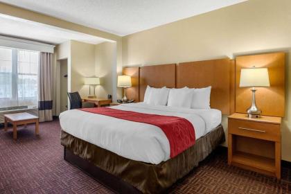 Comfort Suites Hanes Mall - image 12