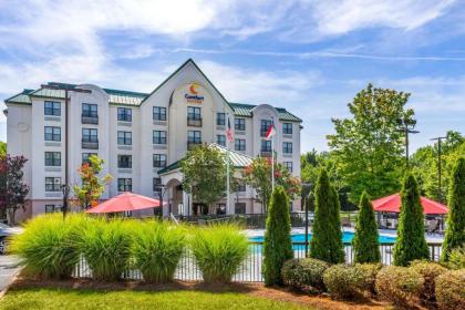 Comfort Suites Hanes Mall - image 2