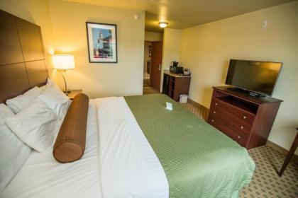 Cobblestone Inn & Suites-Winterset - image 13