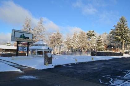 Amber's Inn and Suites - image 5