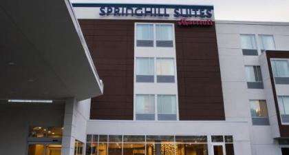 SpringHill Suites by marriott Wisconsin Dells