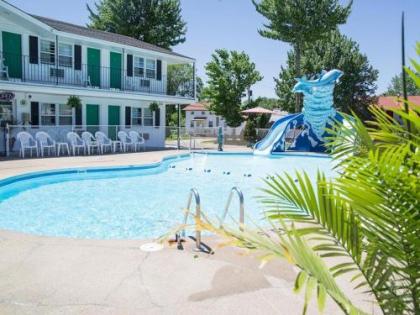 Colonial motel - image 5