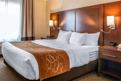 Comfort Suites Wixom / Novi - image 10