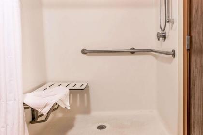 Comfort Suites Wixom / Novi - image 11
