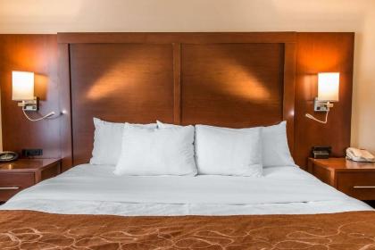 Comfort Suites Wixom / Novi - image 20