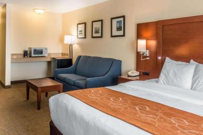 Comfort Suites Wixom / Novi - image 21