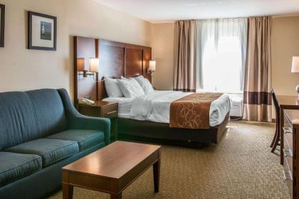 Comfort Suites Wixom / Novi - image 6