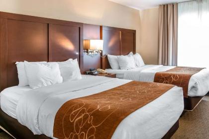 Comfort Suites Wixom / Novi - image 9