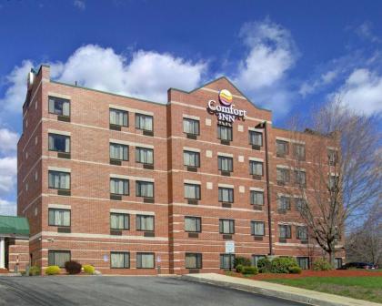 Comfort Inn Woburn - Boston - image 13
