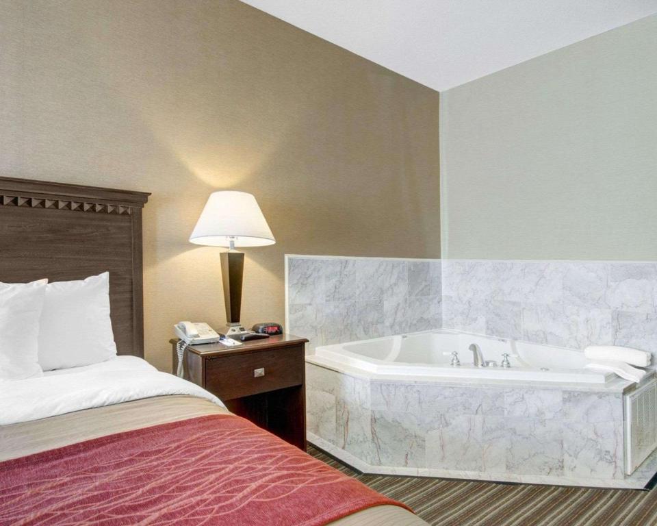Comfort Inn Woburn - Boston - image 4