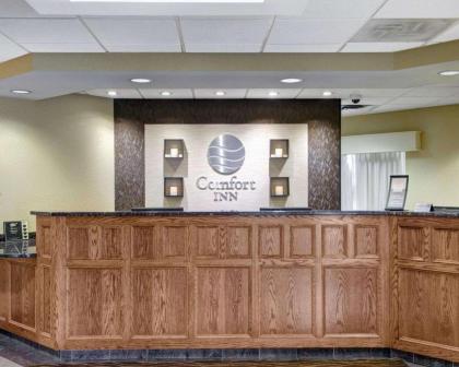 Comfort Inn Woburn - Boston - image 8