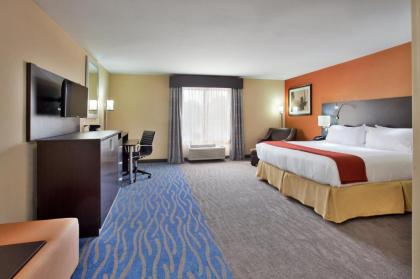 Holiday Inn Express & Suites St Louis Airport an IHG Hotel - image 8