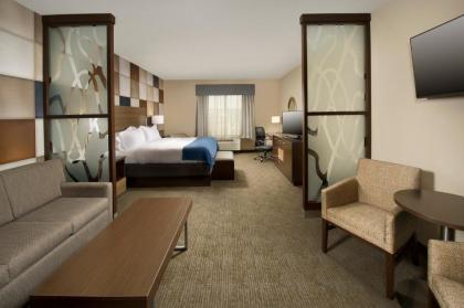 Holiday Inn Express Hotel & Suites Waco South an IHG Hotel - image 11