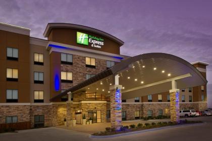 Holiday Inn Express Hotel & Suites Waco South an IHG Hotel - image 15