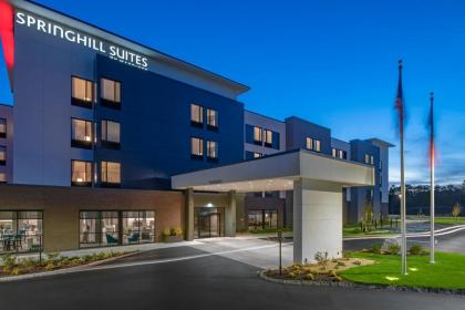 SpringHill Suites By marriott Wrentham Plainville Wrentham Massachusetts