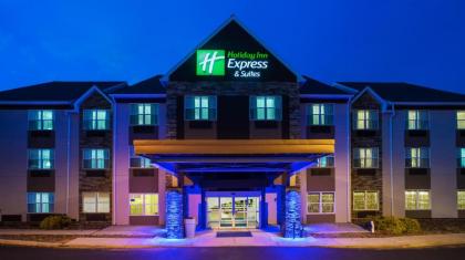 Holiday Inn Express  Suites Wyomissing an IHG Hotel Wyomissing