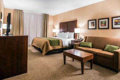 Quality Inn & Suites - image 12