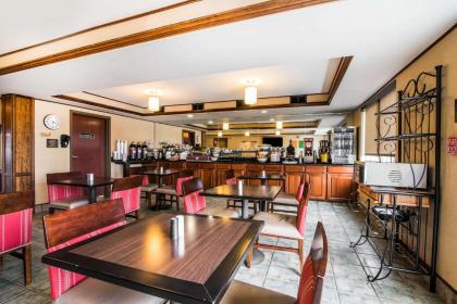 Quality Inn & Suites - image 15