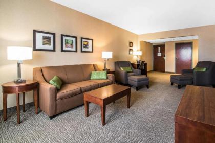 Quality Inn & Suites - image 3