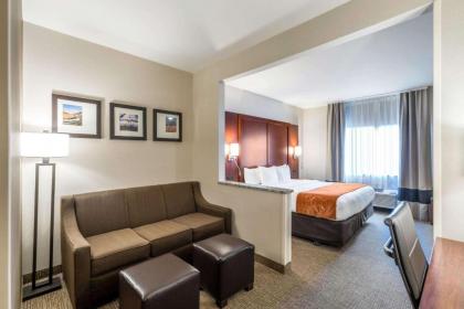 Comfort Suites Yakima - image 12