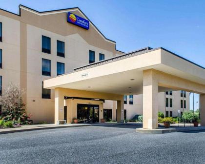Comfort Inn  Suites York York