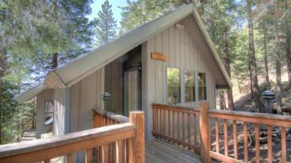 tree House Lodge California
