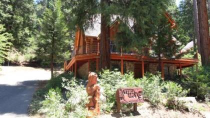 tioga Logs