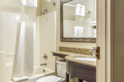 Quality Inn & Suites North Lima - Boardman - image 19
